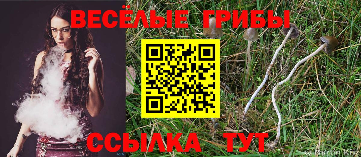 где купить   Галлюциногенные грибы Psilocybine cubensis  Электросталь  Вход с VPN  Галлюциногенные грибы Cubensis 