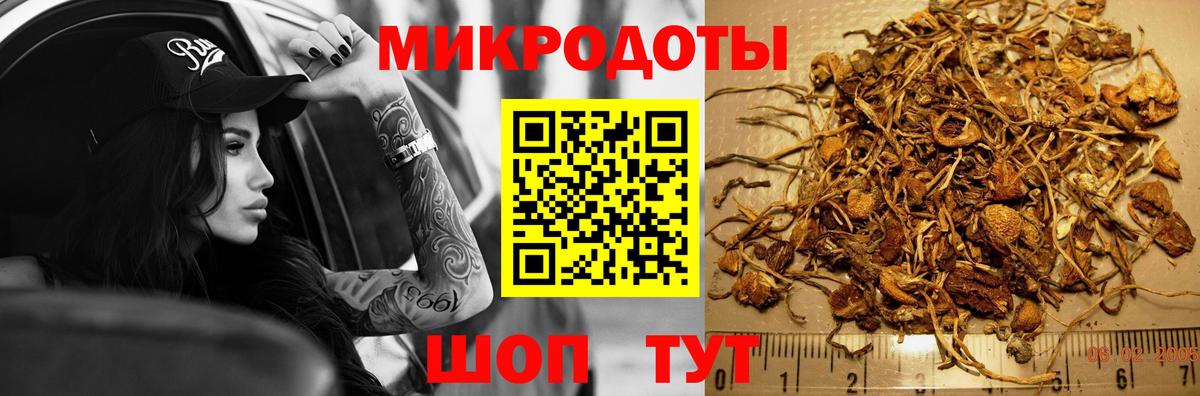 Псилоцибиновые грибы Cubensis Электросталь
